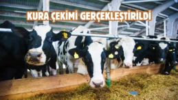 Çorum’da kurban pazarı heyecanı: Padoklar belli oldu