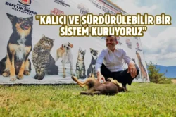 Denizli’de sokak hayvanlarına kalıcı çözüm hamlesi