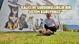 Denizli’de sokak hayvanlarına kalıcı çözüm hamlesi