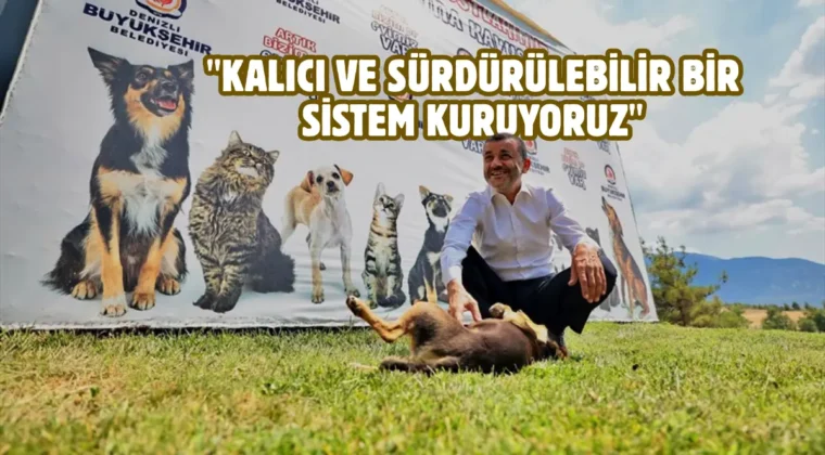 Denizli’de sokak hayvanlarına kalıcı çözüm hamlesi