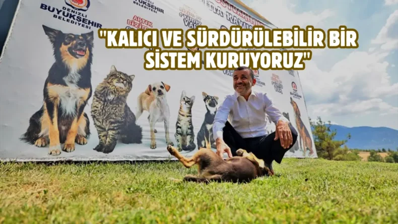 Denizli’de sokak hayvanlarına kalıcı çözüm hamlesi
