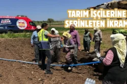 Denizli Büyükşehir’in mobil ikram araçları tarlalarda