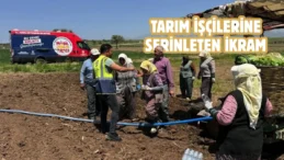 Denizli Büyükşehir’in mobil ikram araçları tarlalarda