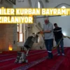 Elazığ’da camiler dezenfekte ediliyor