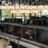 Eskişehir’de kurban bağışı hisse bedeli belli oldu