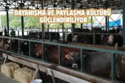 Eskişehir’de kurban bağışı hisse bedeli belli oldu
