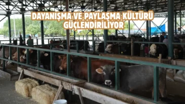 Eskişehir’de kurban bağışı hisse bedeli belli oldu