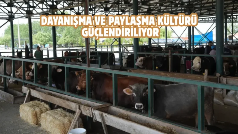 Eskişehir’de kurban bağışı hisse bedeli belli oldu