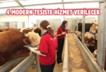 İstanbul’da kurban satış ve kesim yerleri belli oldu