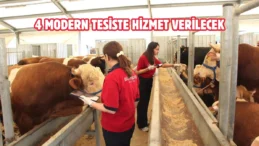 İstanbul’da kurban satış ve kesim yerleri belli oldu