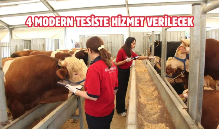 İstanbul’da kurban satış ve kesim yerleri belli oldu