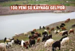 İzmir’de gölet sayısı artırılıyor