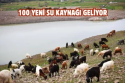İzmir’de gölet sayısı artırılıyor