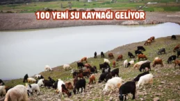 İzmir’de gölet sayısı artırılıyor