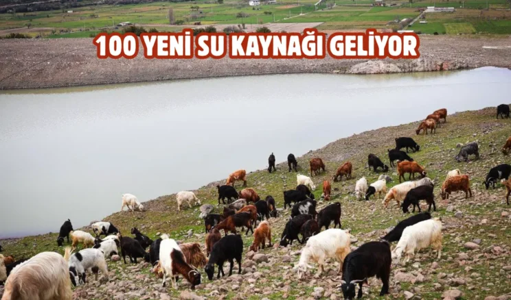 İzmir’de gölet sayısı artırılıyor