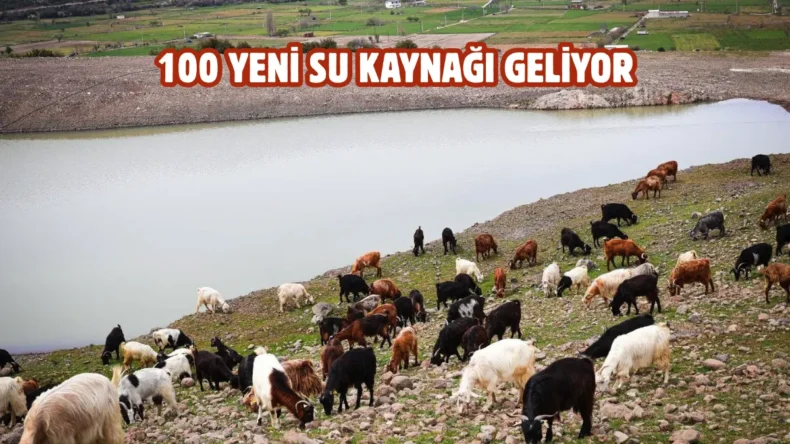 İzmir’de gölet sayısı artırılıyor