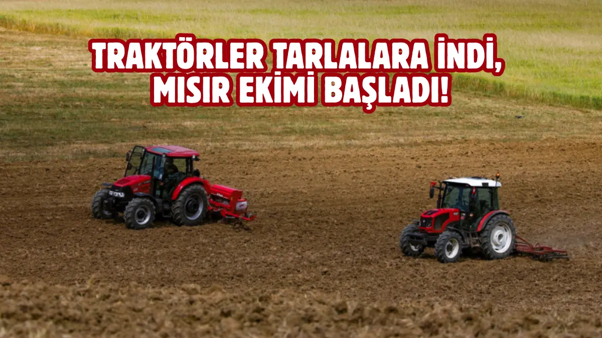 Kocaeli Büyükşehir Belediyesi, tarımsal üretimi yaygınlaştırmak ve atıl durumdaki arazileri
