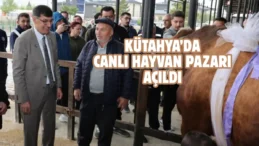 Kütahya’da 11 bin 500 kapasiteli hayvan pazarı açıldı