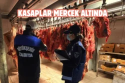 Ordu’da Kurban Bayramı öncesi kasaplara sıkı denetim