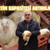Samsun Büyükşehir’den üreticilere kaz desteği