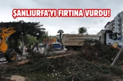 Şanlıurfa Birecik’te afetin yaraları sarılıyor: Büyükşehir sahada