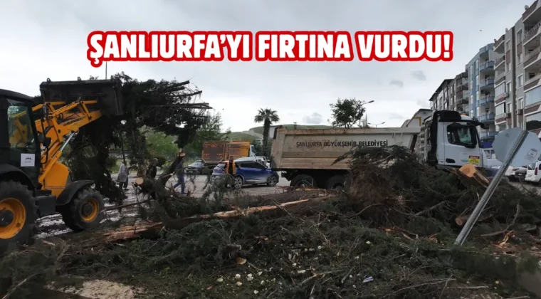 Şanlıurfa Birecik’te afetin yaraları sarılıyor: Büyükşehir sahada