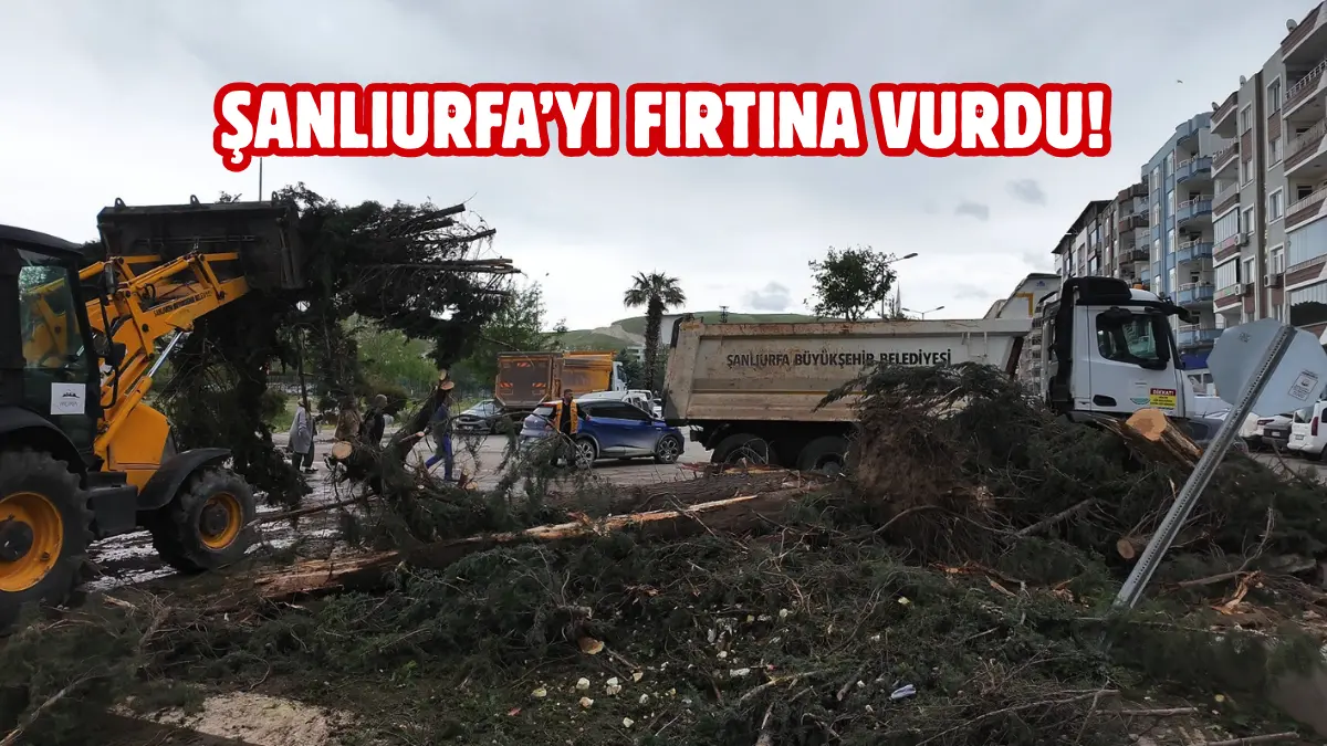 Şanlıurfa Büyükşehir Belediyesi, Birecik ilçesinde etkisini artıran şiddetli yağış ve