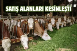 Sincan’da kurban satış yerleri kura ile belirlendi