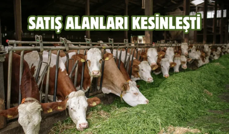 Sincan’da kurban satış yerleri kura ile belirlendi