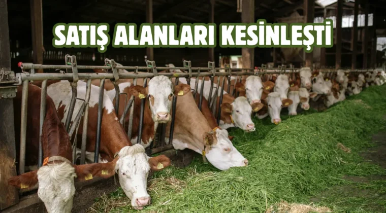 Sincan’da kurban satış yerleri kura ile belirlendi