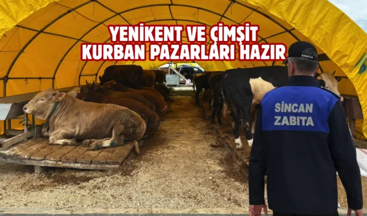 Sincan’da kurban satış ve kesim yerleri ilaçlanıyor