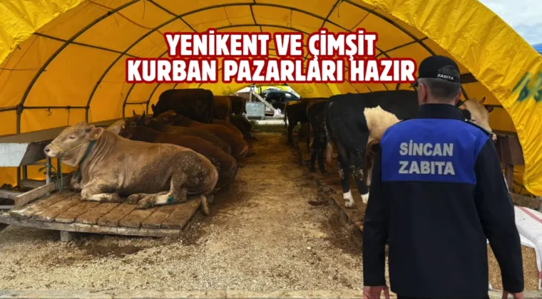 Sincan’da kurban satış ve kesim yerleri ilaçlanıyor