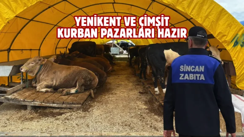 Sincan’da kurban satış ve kesim yerleri ilaçlanıyor