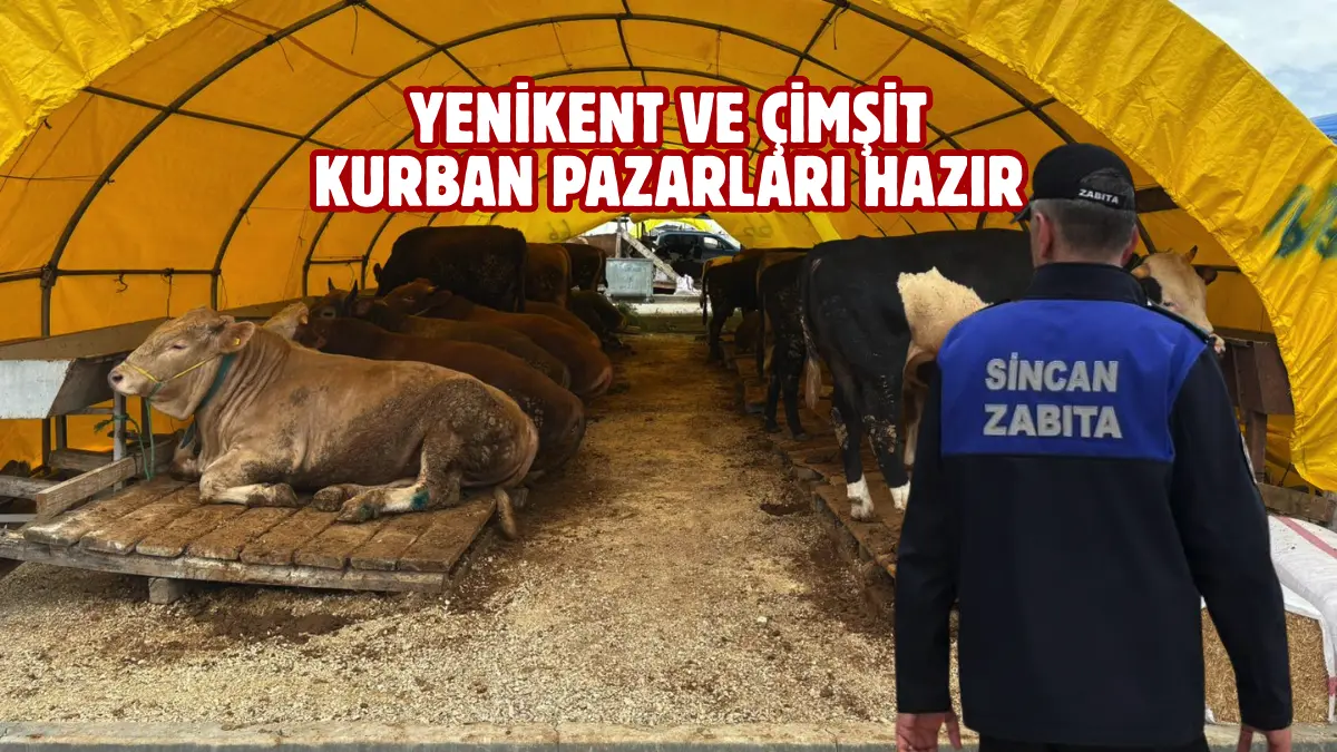 Sincan Belediyesi, Kurban Bayramı öncesi hayvansal atıklar nedeniyle oluşabilecek tüm
