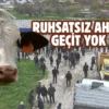 Sincan’da bayram denetimi: Ruhsatsız ahıra geçit yok