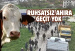 Sincan’da bayram denetimi: Ruhsatsız ahıra geçit yok