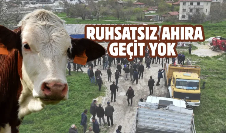 Sincan’da bayram denetimi: Ruhsatsız ahıra geçit yok
