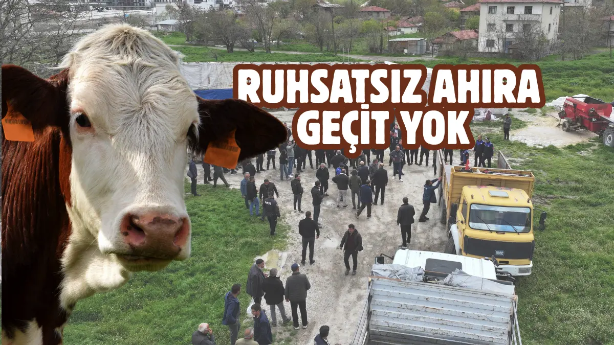 Kurban Bayramı’nın yaklaşmasıyla birlikte belediyelerde de denetimler artırıldı. Sincan Belediyesi,