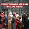Tarsus Doğa Parkı bayramda ziyaretçi akınına uğradı
