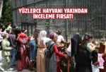 Tarsus Doğa Parkı bayramda ziyaretçi akınına uğradı