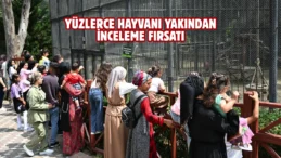 Tarsus Doğa Parkı bayramda ziyaretçi akınına uğradı