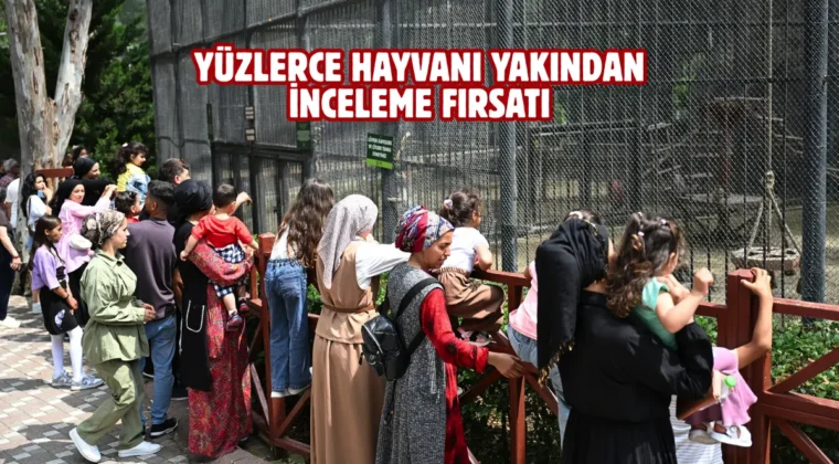 Tarsus Doğa Parkı bayramda ziyaretçi akınına uğradı