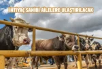 Tokat’ta kurban bağışı hisse bedeli belli oldu