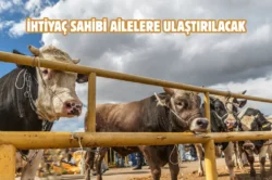 Tokat’ta kurban bağışı hisse bedeli belli oldu