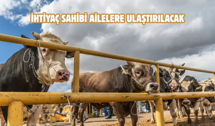 Tokat’ta kurban bağışı hisse bedeli belli oldu
