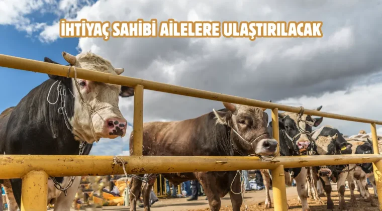 Tokat’ta kurban bağışı hisse bedeli belli oldu