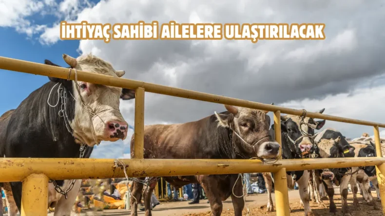 Tokat’ta kurban bağışı hisse bedeli belli oldu