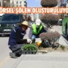 Van Büyükşehir kenti mevsimlik çiçeklerle renklendiriyor