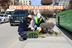 Van Büyükşehir kenti mevsimlik çiçeklerle renklendiriyor