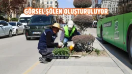 Van Büyükşehir kenti mevsimlik çiçeklerle renklendiriyor